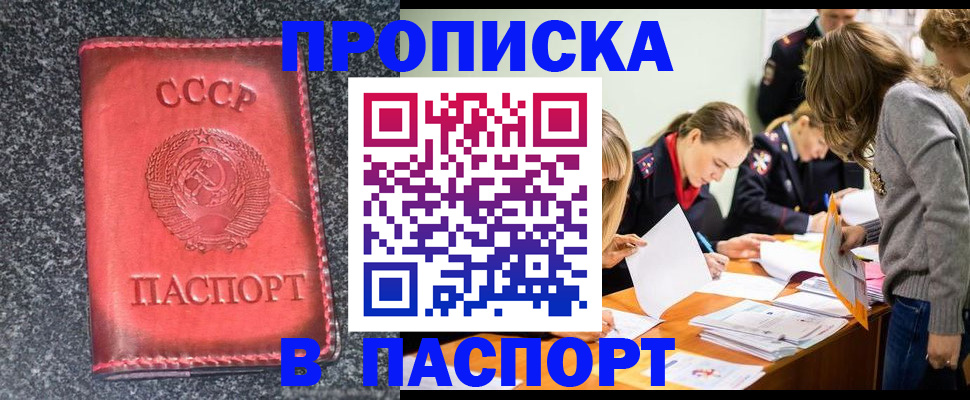 прописка для школы в Мурманской области